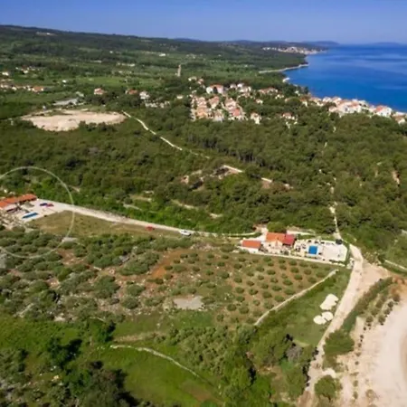 Mutnik - Mirca